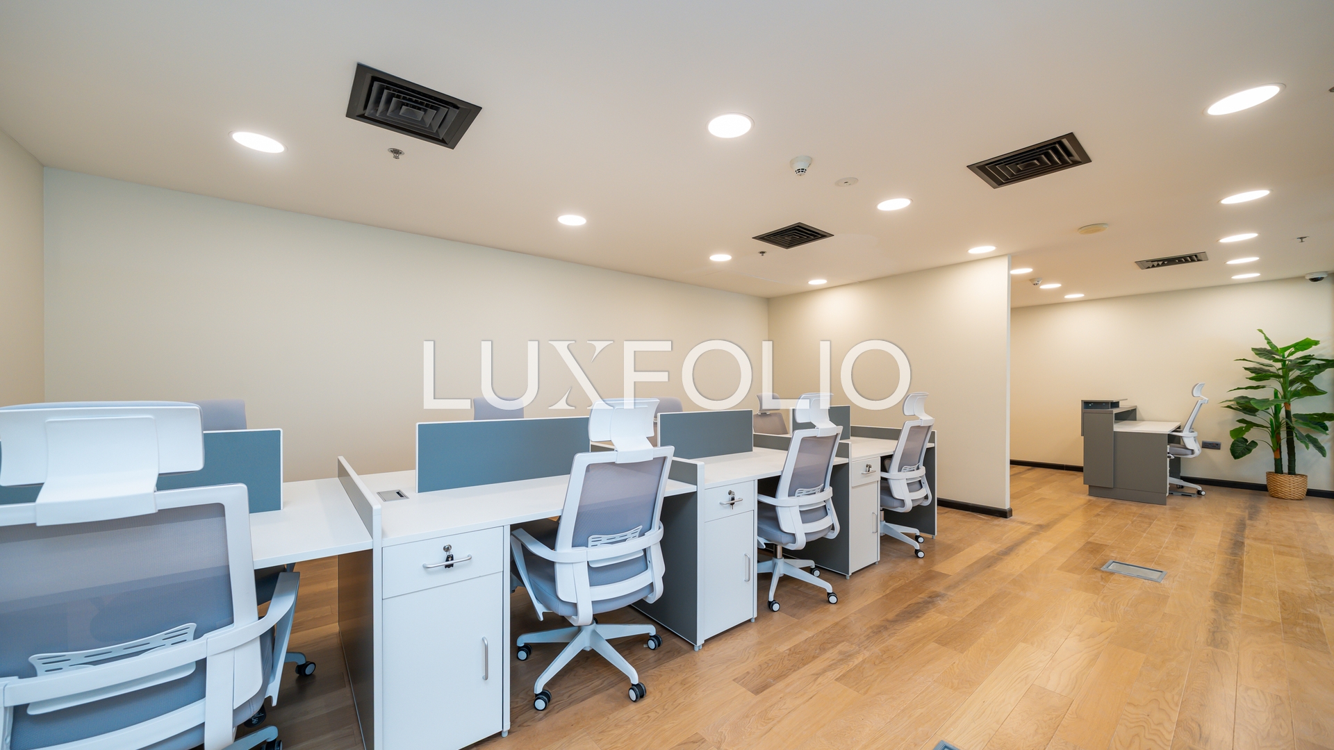 Luxury Fitout | Vacant | Fully Furnished
