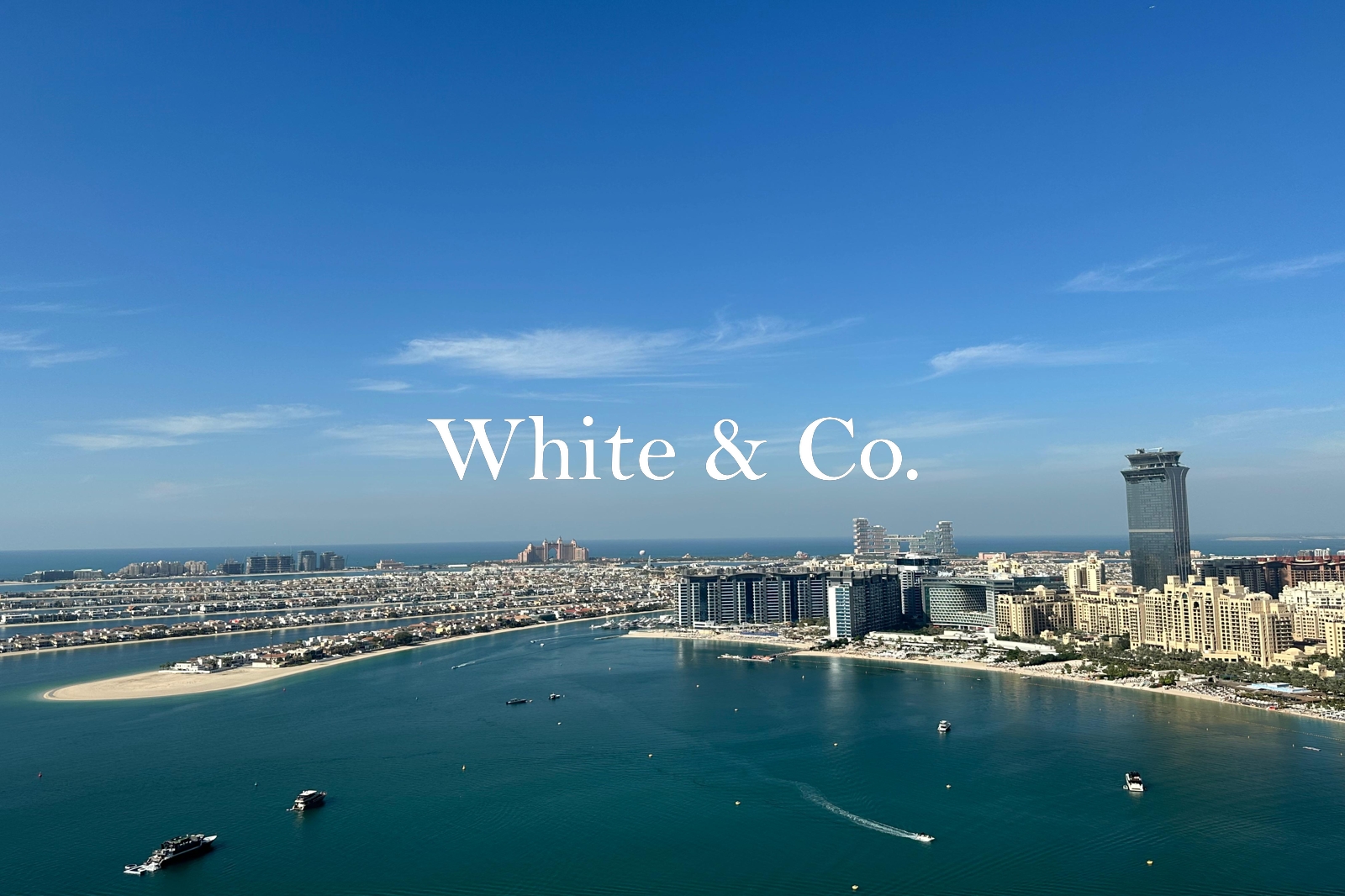 Full Palm | Largest 2bed | Highest Floor