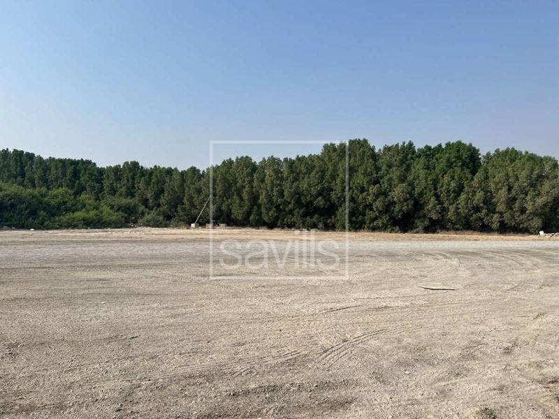 Land For Sale | Prime Location | Al Dhaid Road