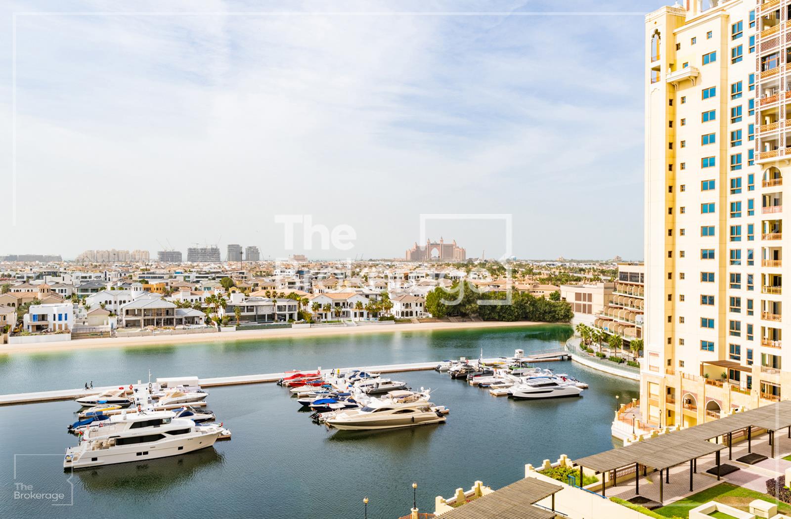 Stunning Palm Views | Spacious Living | Vacant