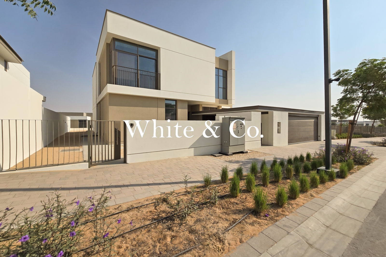 Best Location | Elevated | Next To Pool