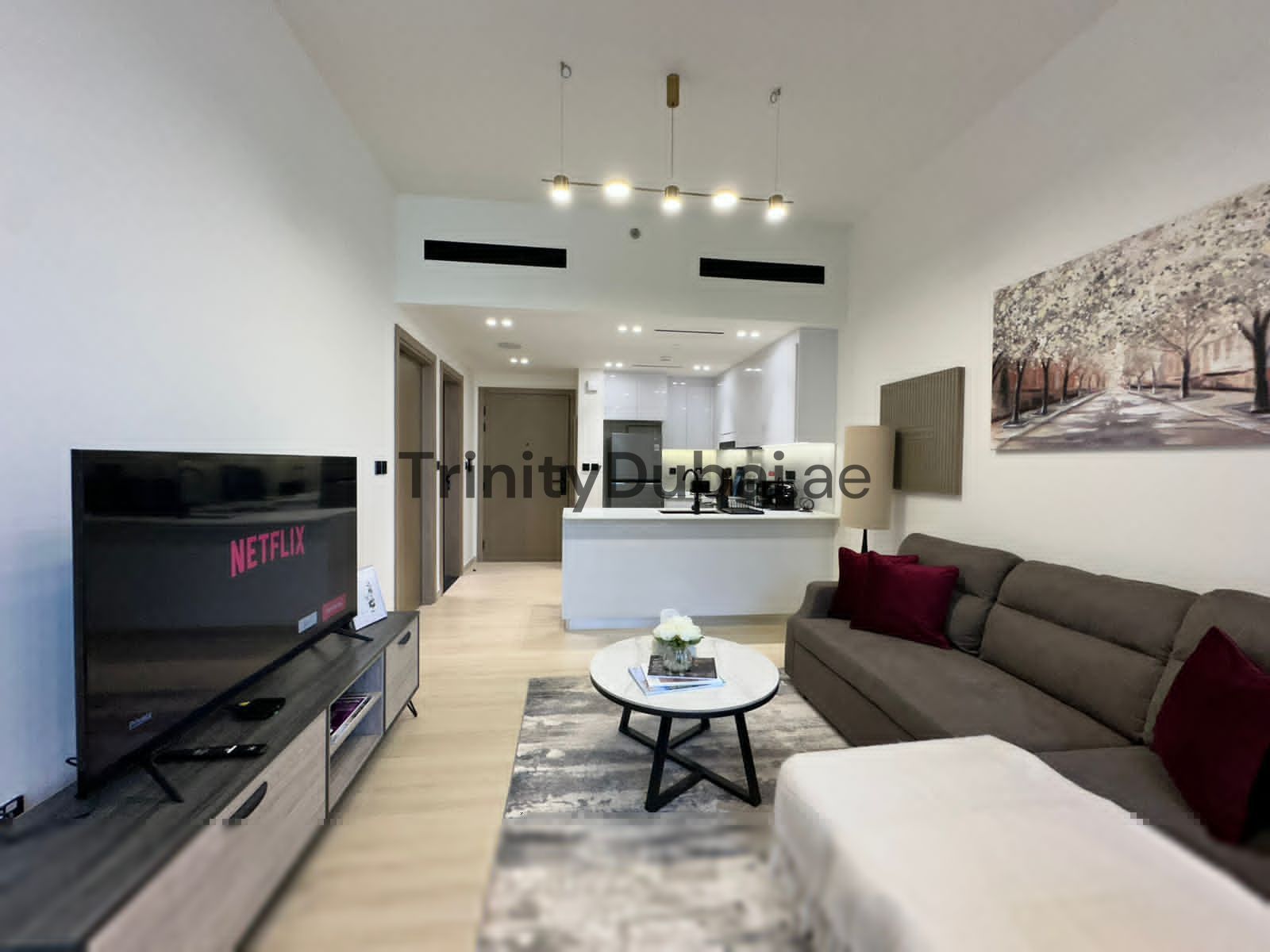 Luxury 1BHK | Furnished | Close to Mall | 3 Cheques