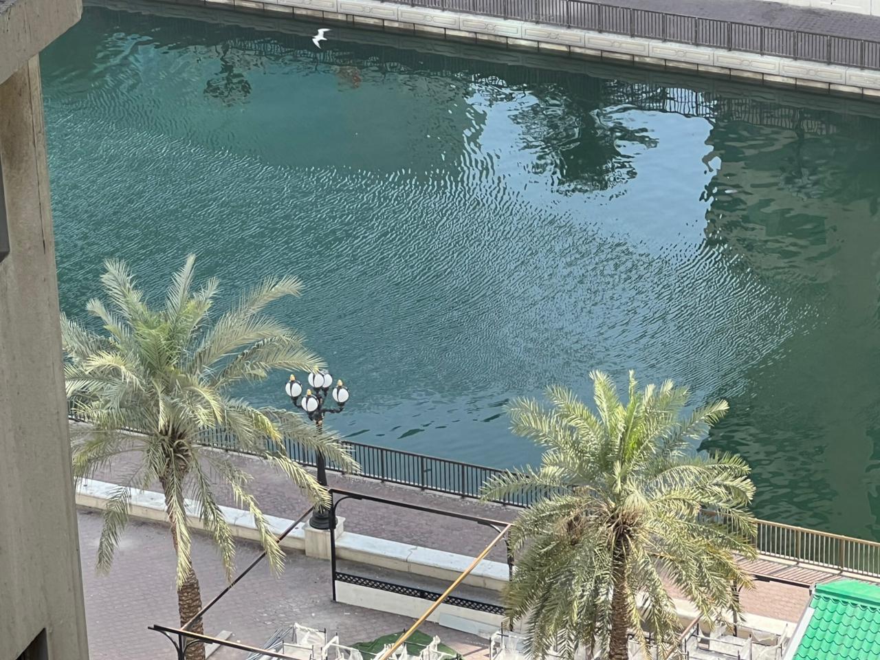 Balcony with direct sea view, master bedroom, free gym and swimming pool, dedicated parking for residents in a premium family tower