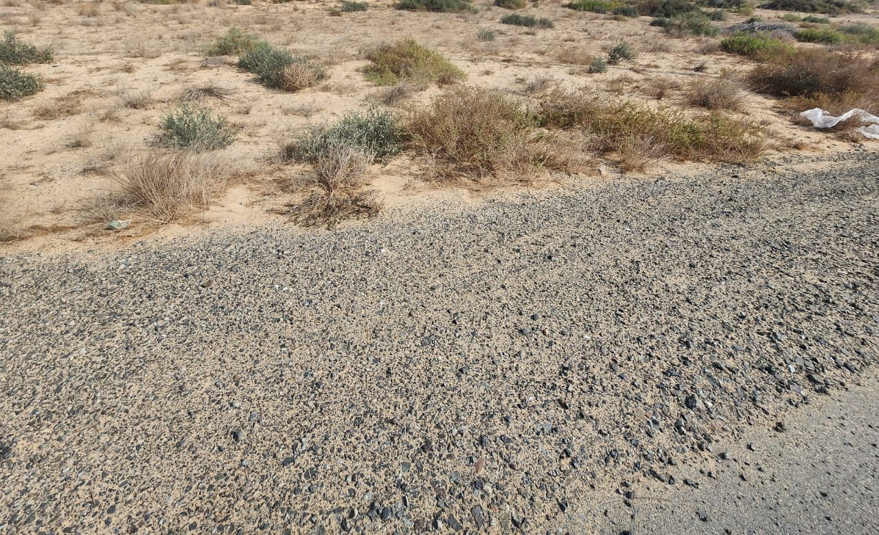 Unique opportunity industrial plot Corner 3 Streets located on main road street wide 97 Meter Al dhaid – Sharjah