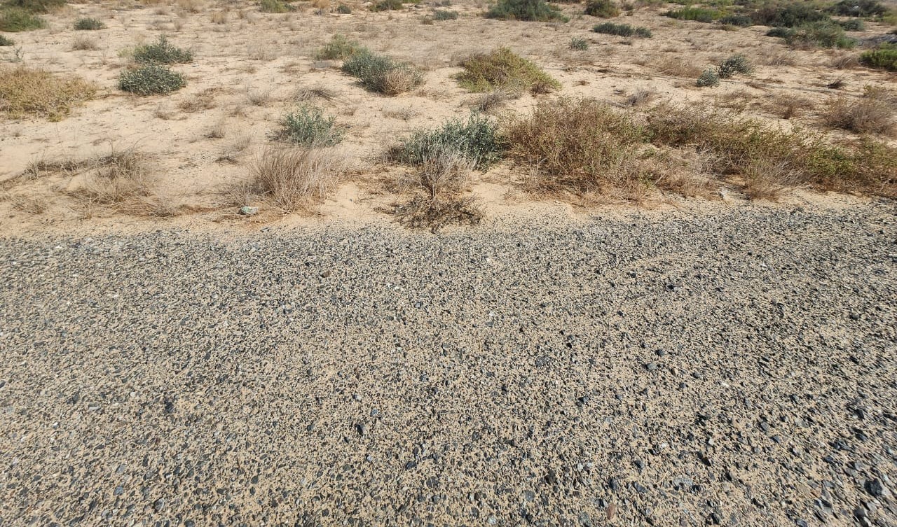 For sale G + 5 commercial residential Corner plot Located on 36 meter wide street