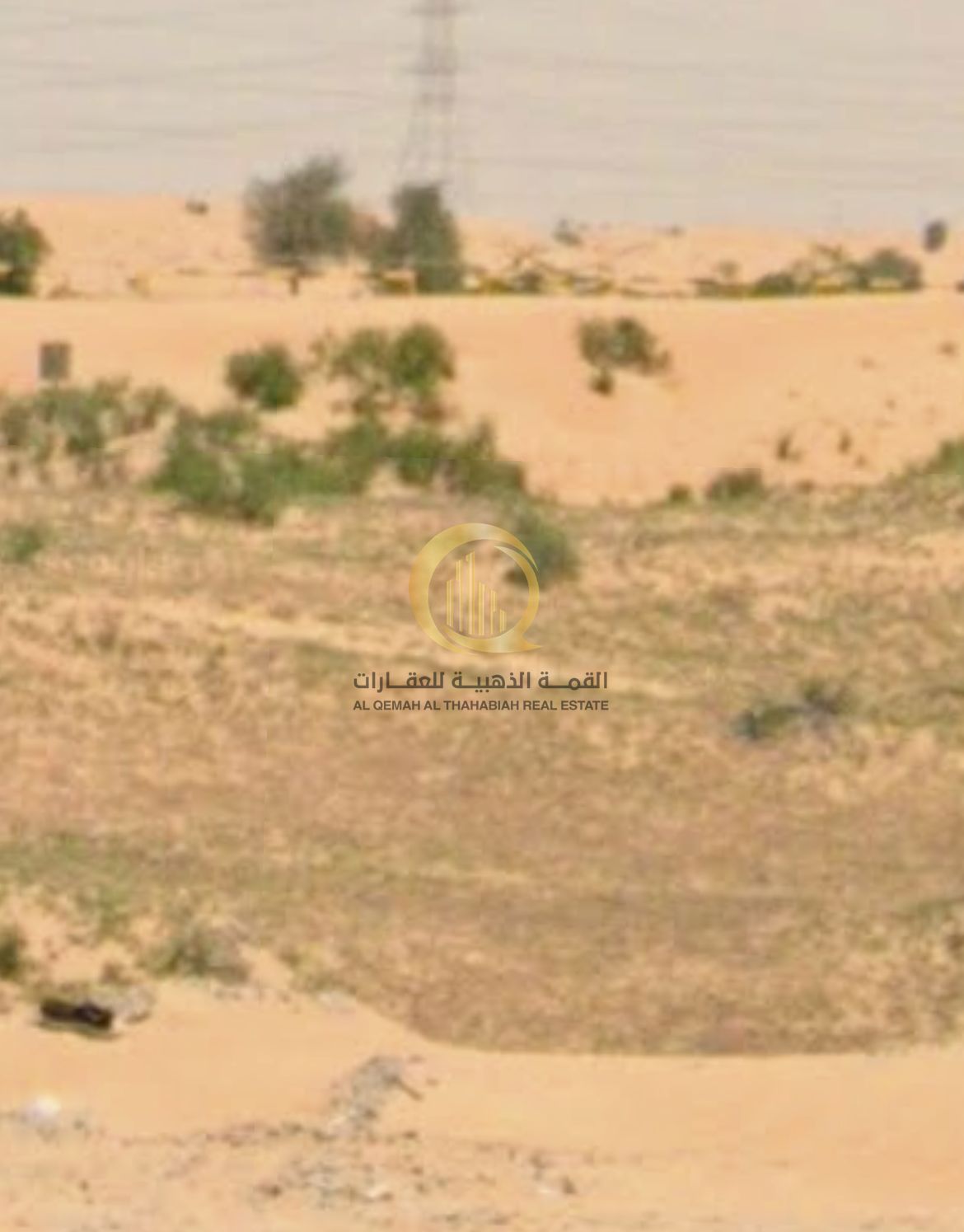 For sale in Arqoub Industrial Area, Al Hamriya Suburb, for locals and Gulf citizens, 10,000 sq ft