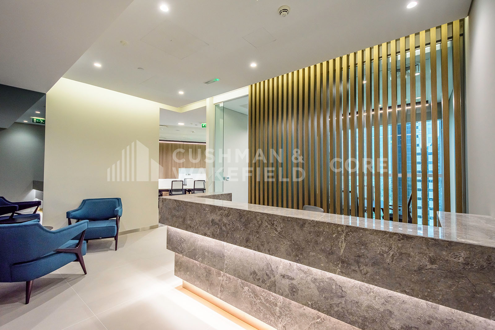 Premium | Fully Furnished | Freezone