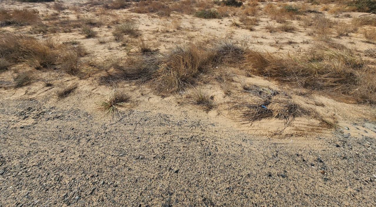 For sale commercial residential Corner Plot 170 AED per Sq Ft Located on 36 meter wide street Al Darari Commercial - Sharjah