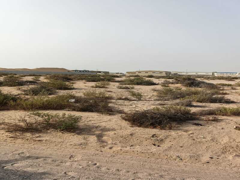 Land for sale in Al Sajaa Al Hanoo Al Qadeem area, Block 5, area 55,000 sq ft