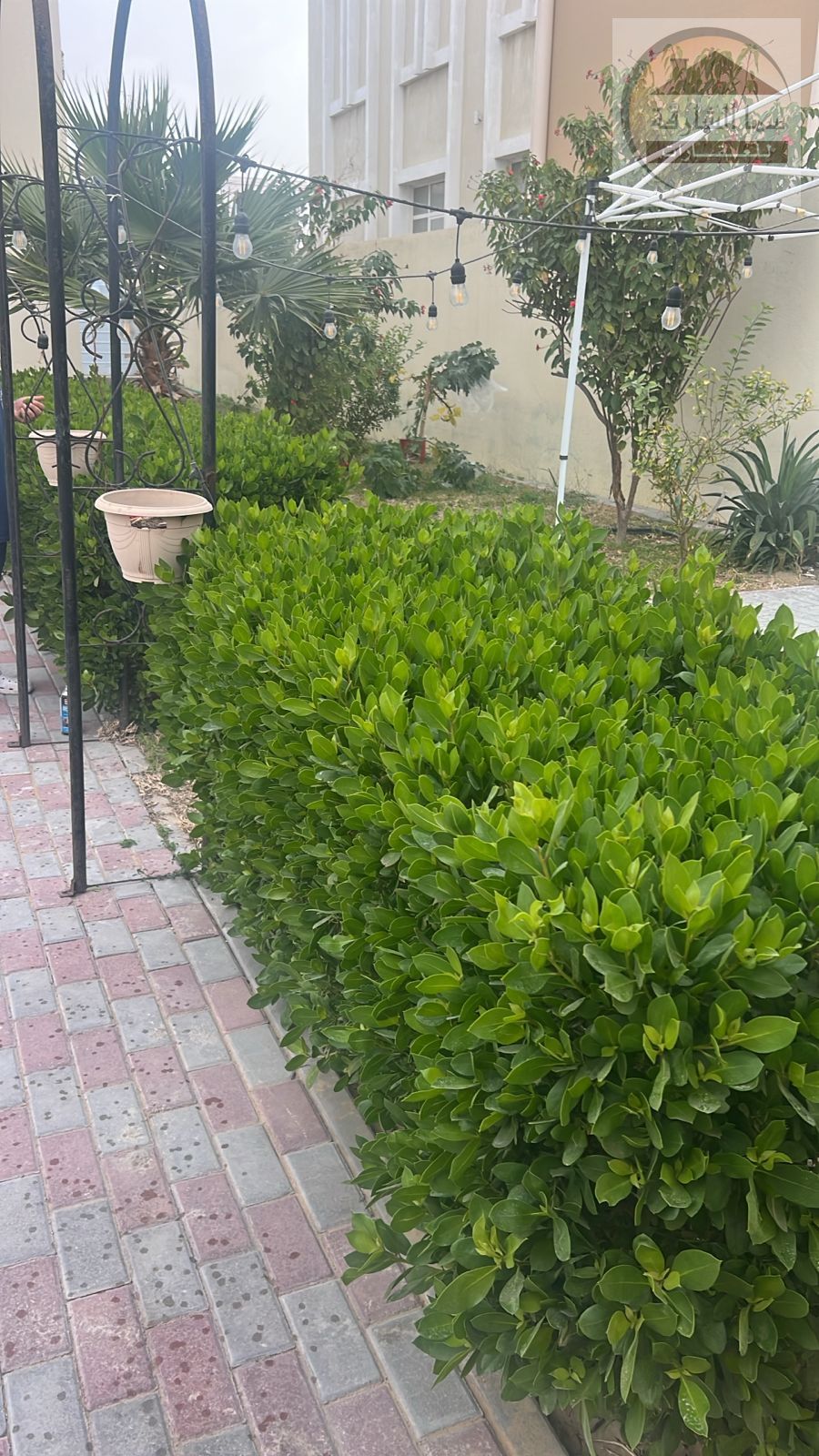 Al-Houshi Villa for Rent