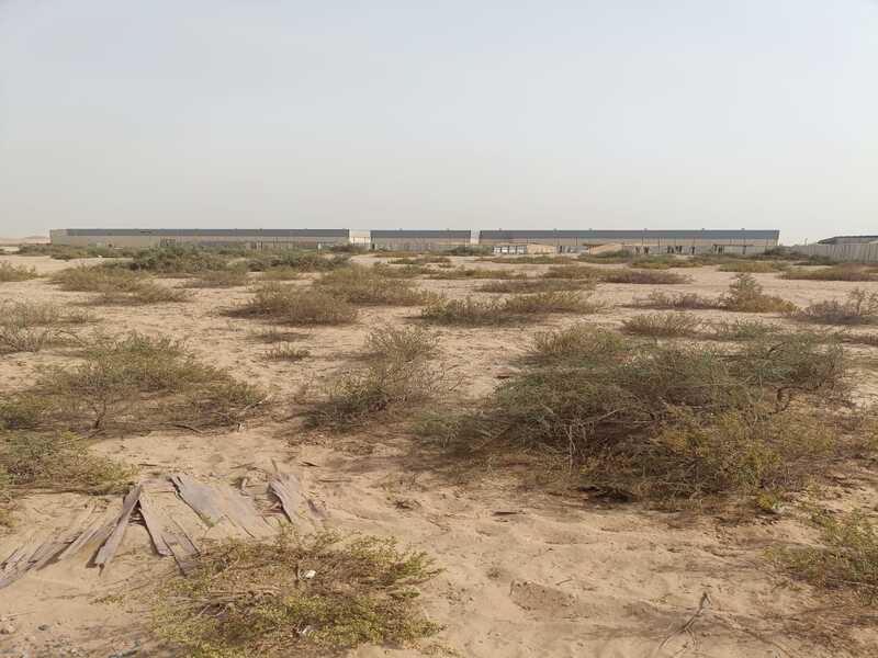 Land for sale in Al-Arqoub area, 27,000 square feet, prime location