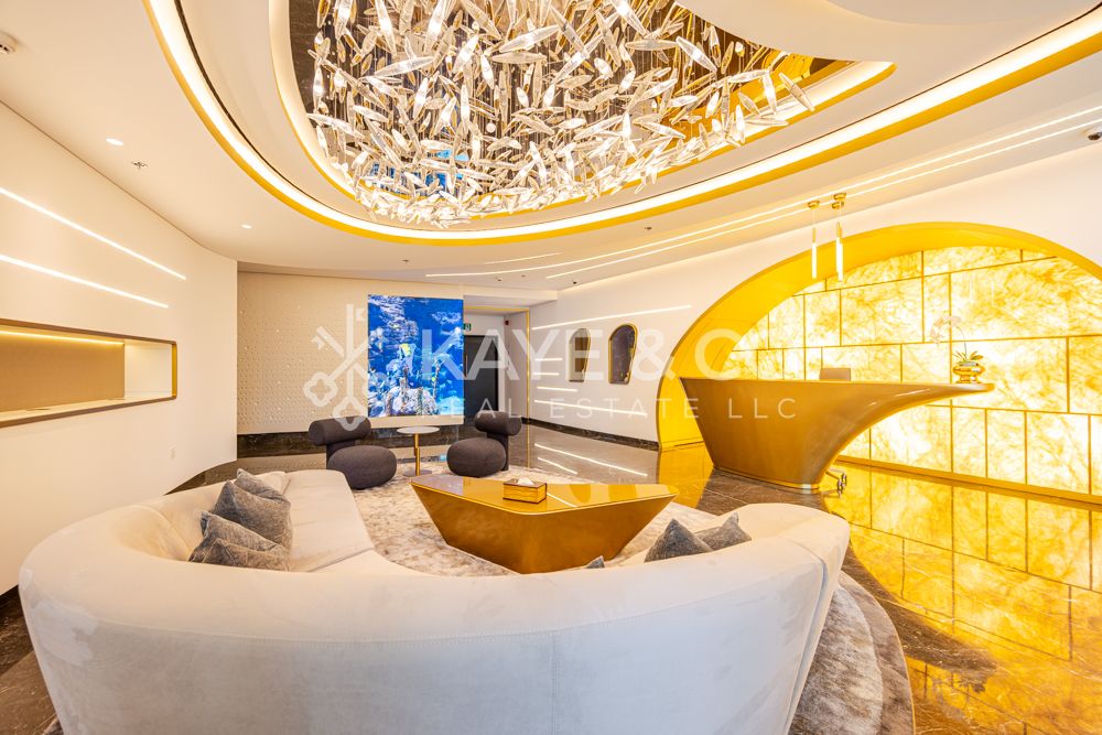 Ready to Operate | Luxury Styled | Fully Furnished