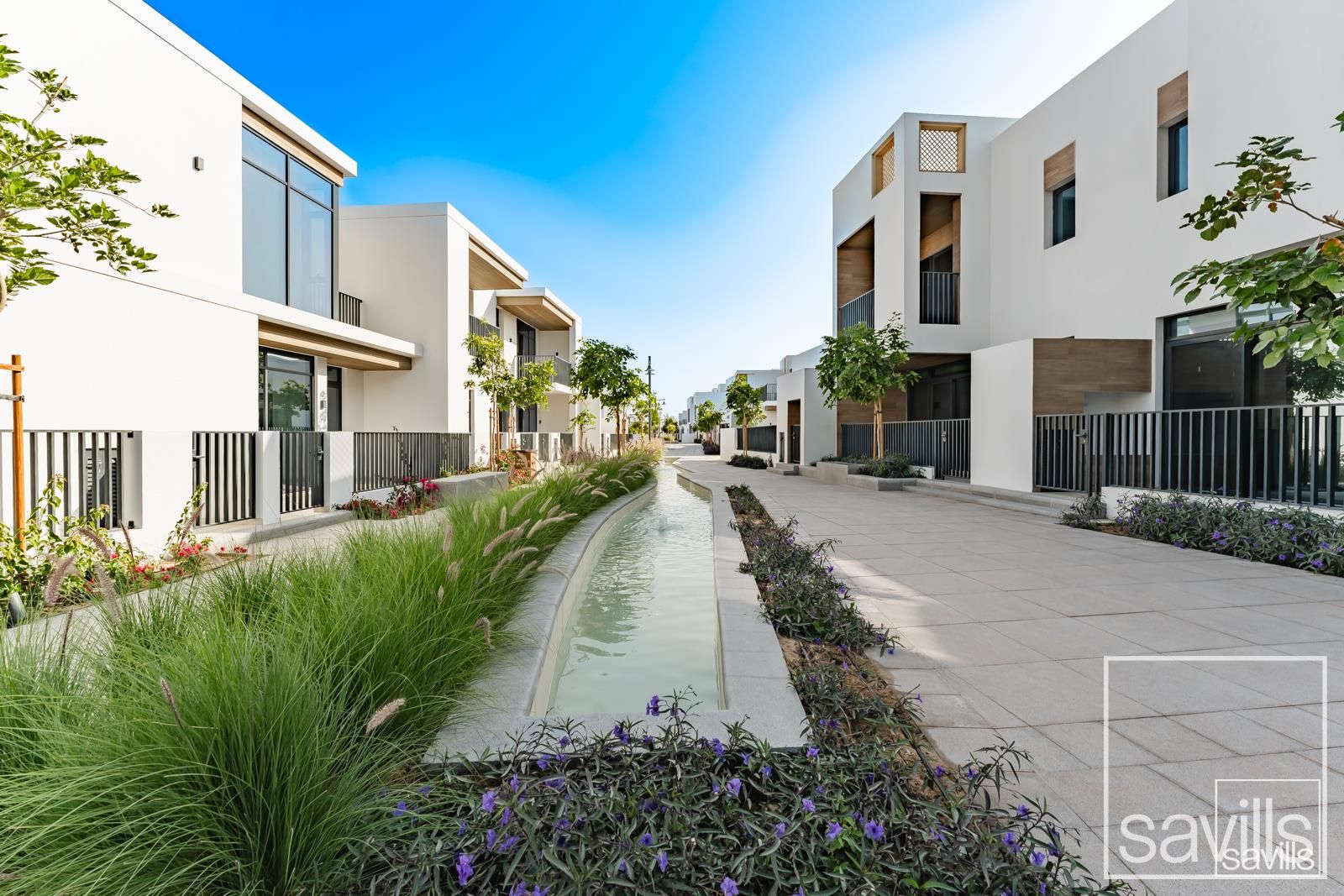 Skylight Feature | Multiple Options | Wadi River