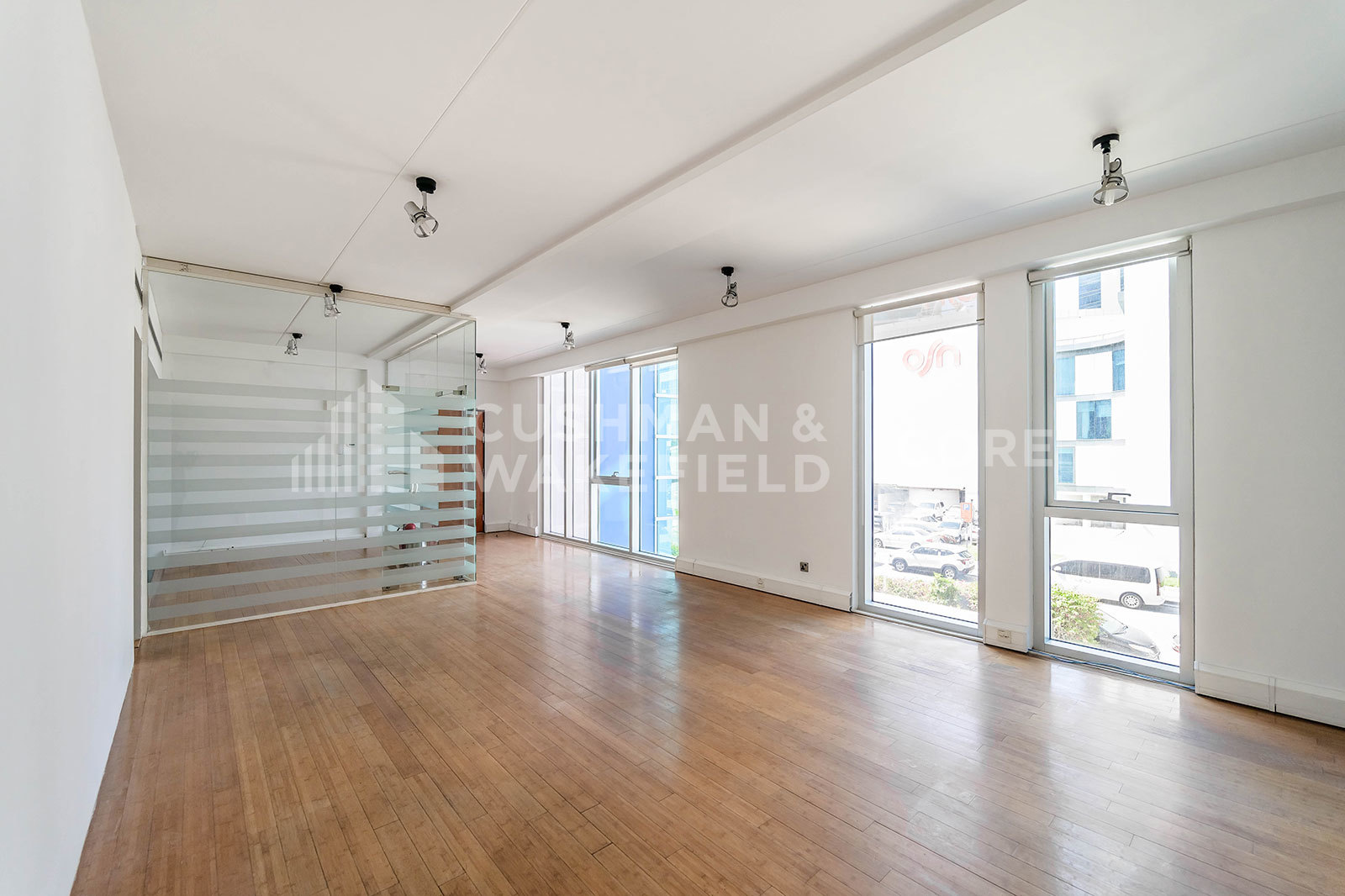 Chiller Free | Vacant | Well Fitted | Freezone