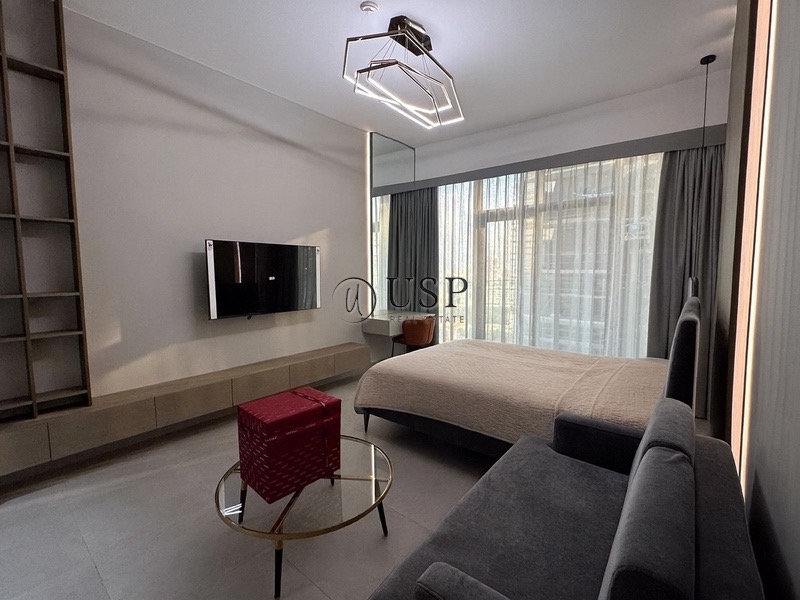 Brand New | Luxurious | High Ceilings | Furnished