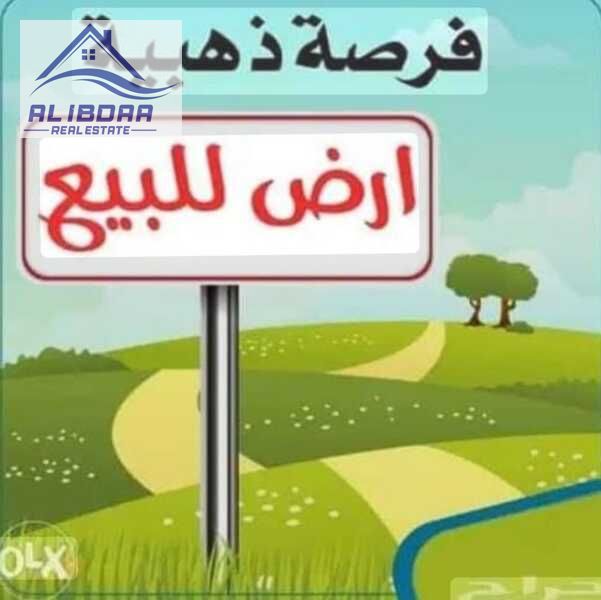 Residential & Commercial Land for Sale in Al Rashidiya 3 – Ajman Prime Location opposite Sheikh Rashid Mosque Ideal for Residential & Commer