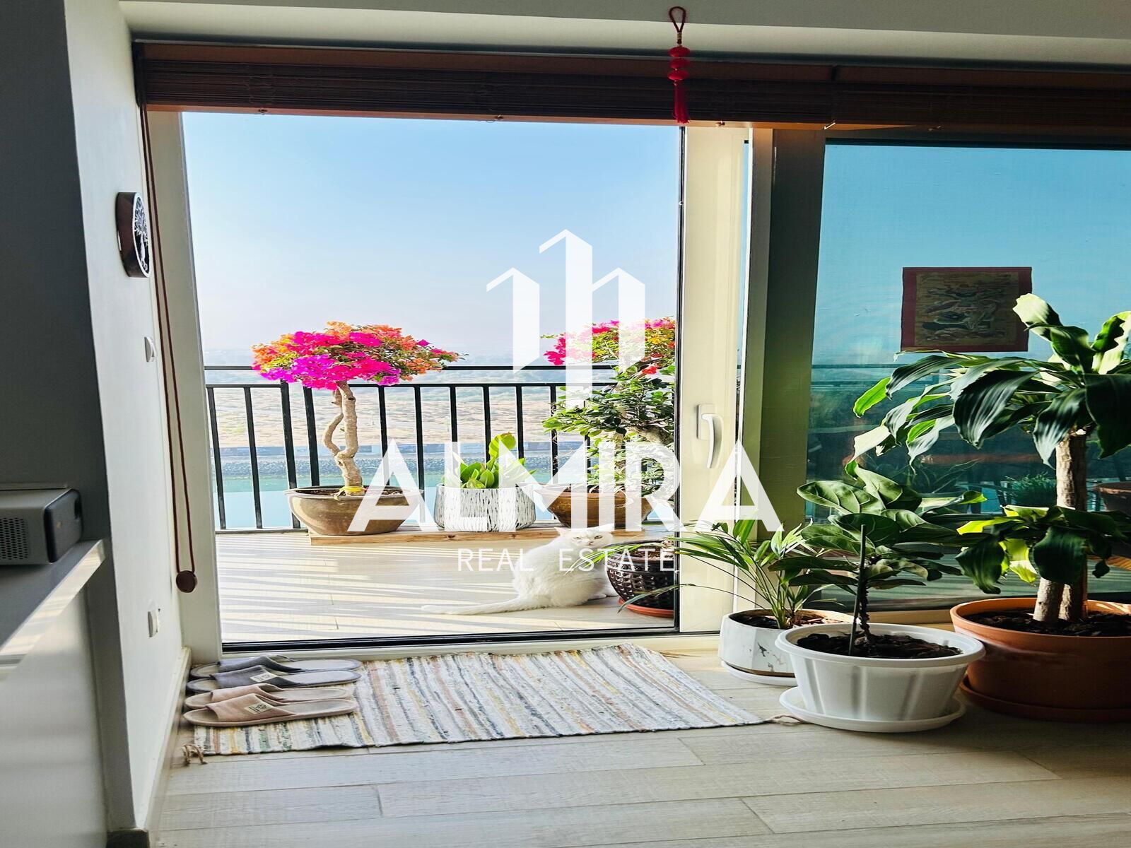 Fully Furnished | Full Canal View | Vacant