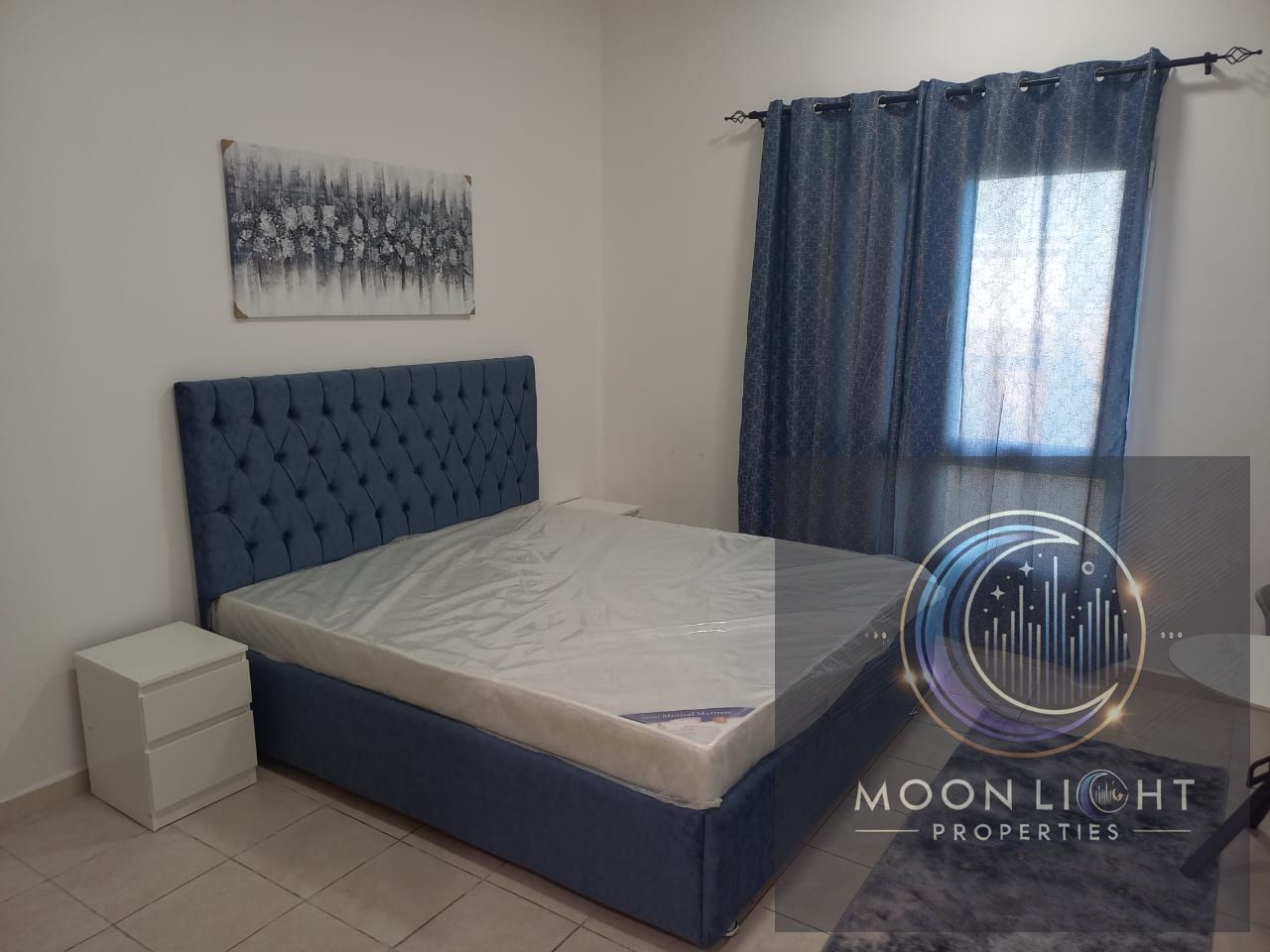Fully Furnished 1 BHK + Hall, Med Cluster, Street 3, Discovery Garden