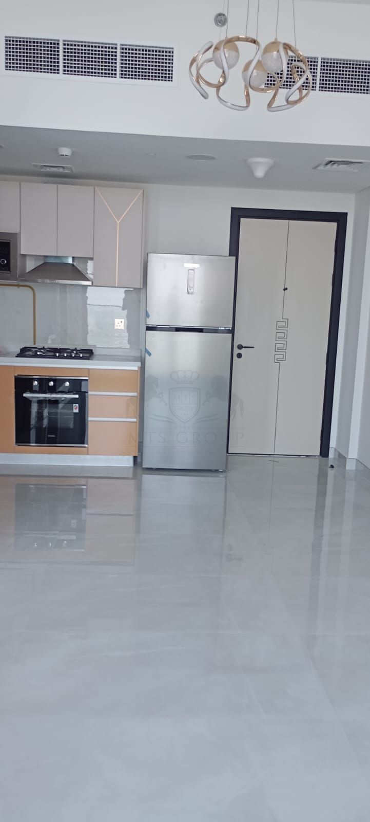 Vacant Unfurnished Apartment | Skyz by Danube