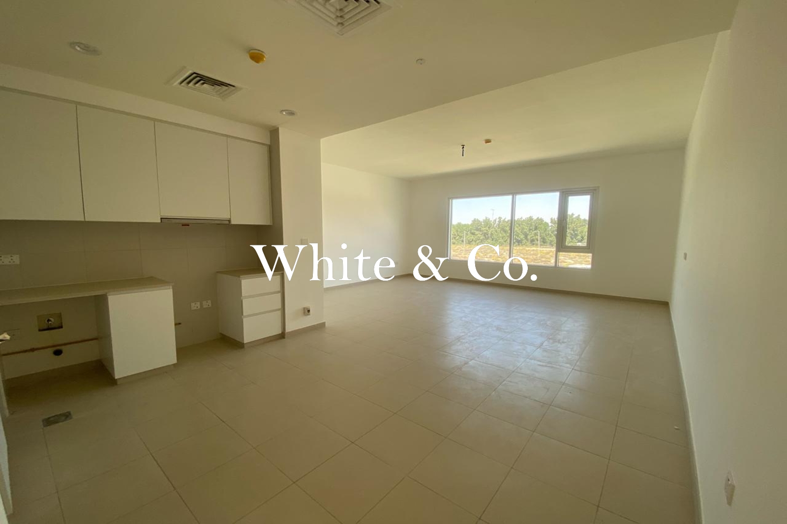 Spacious | Large Balcony | Vacant March