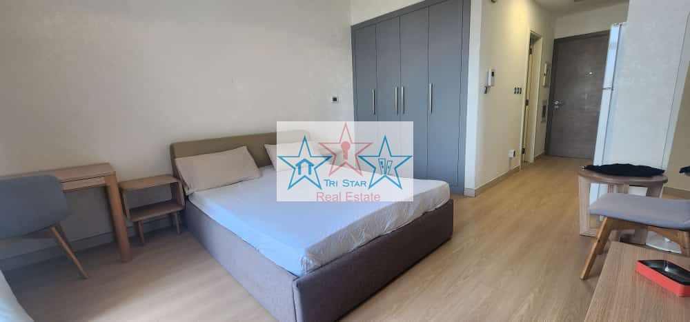 Upgrade Studio 55k Furnished Chiller Free Near Metro Pool View