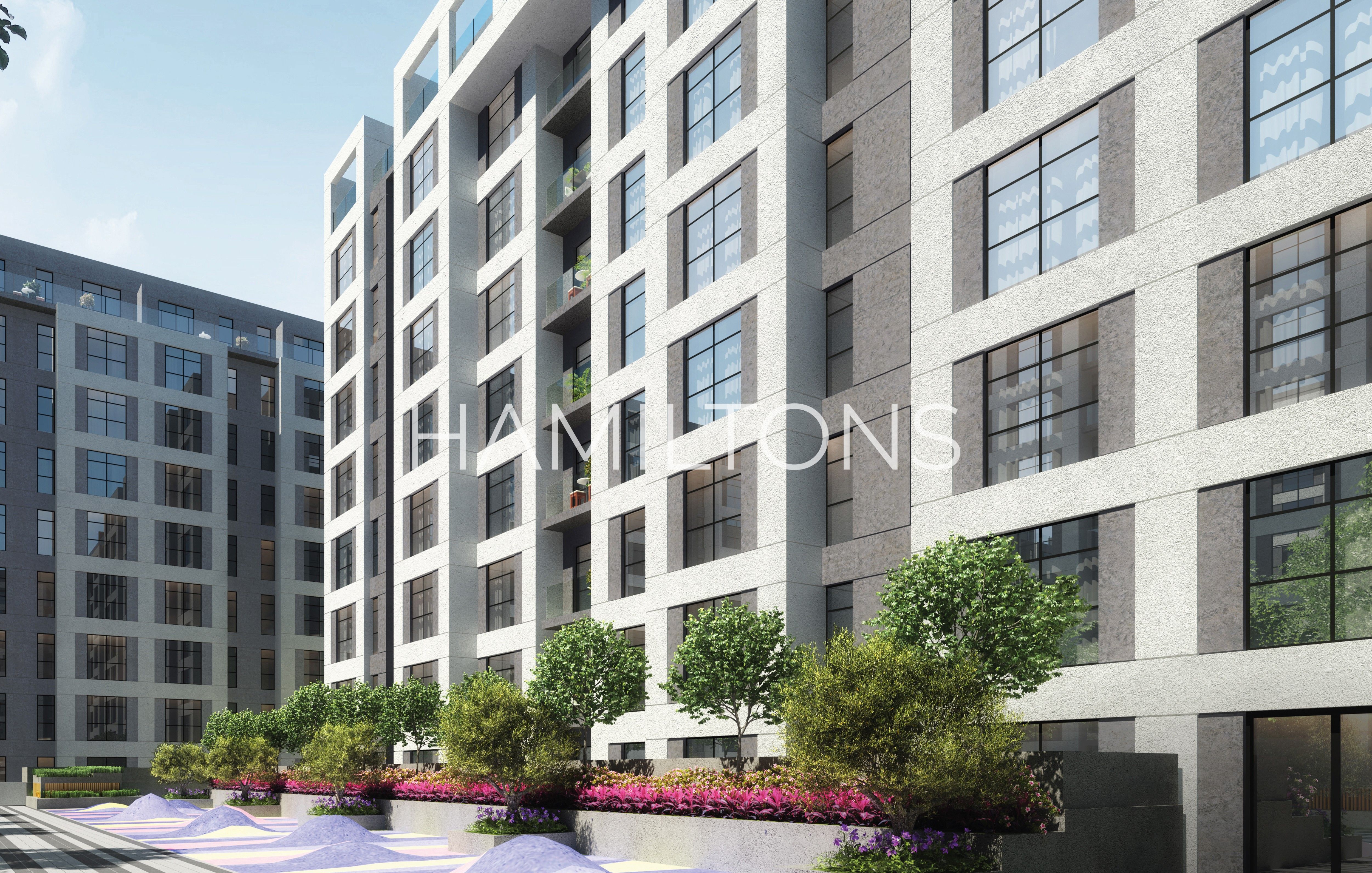 Contemporary Design | Vibrant Area