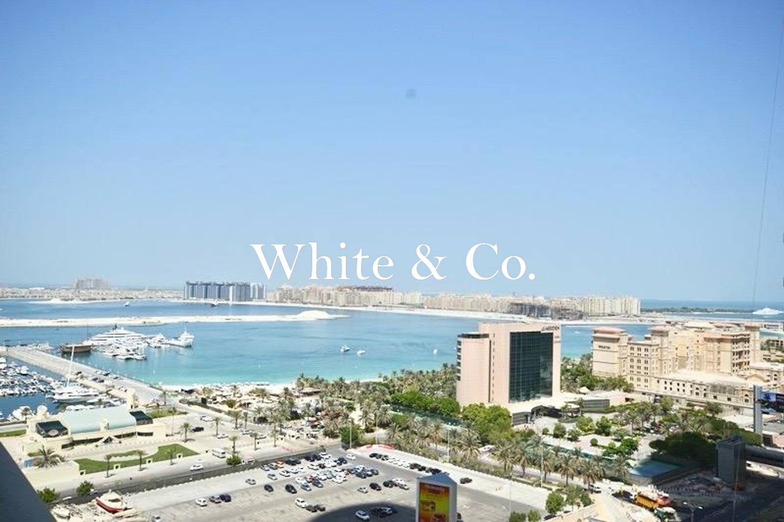 High Floor | 12 Cheques | Marina View