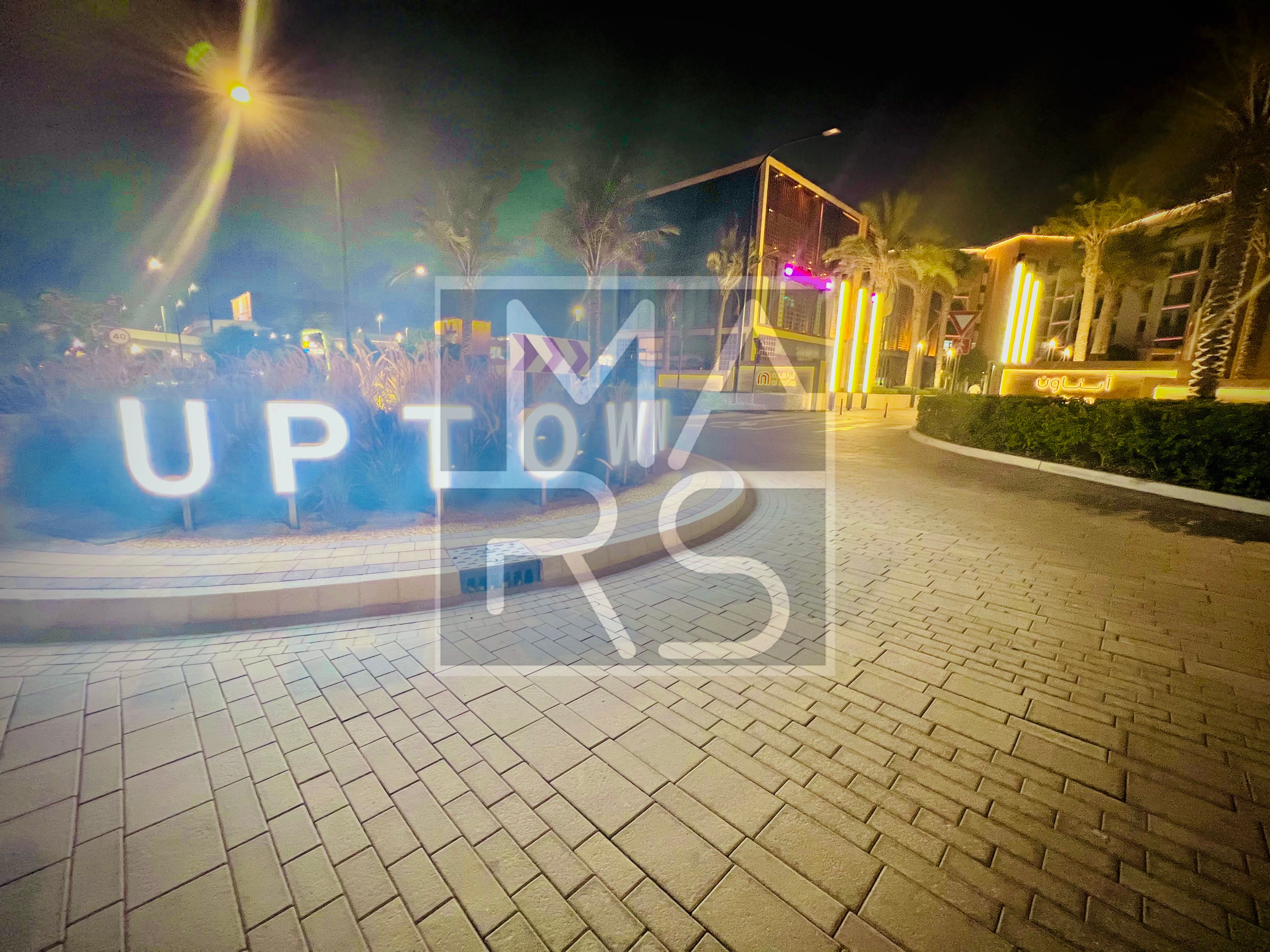 Luxurious// Fully Furnished// Ready to Move