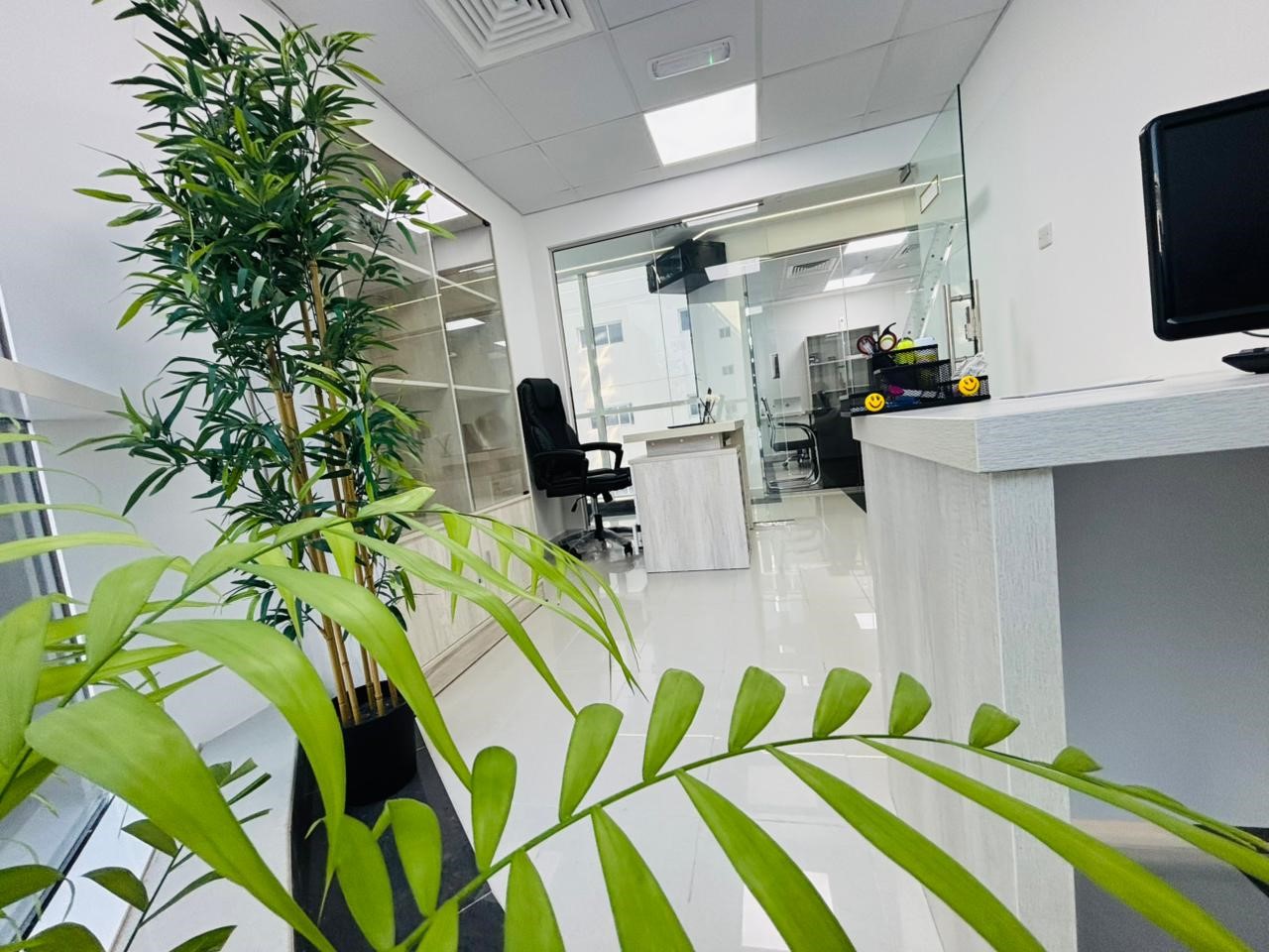 Amazing Office Space for Rent| Brand new Furniture included