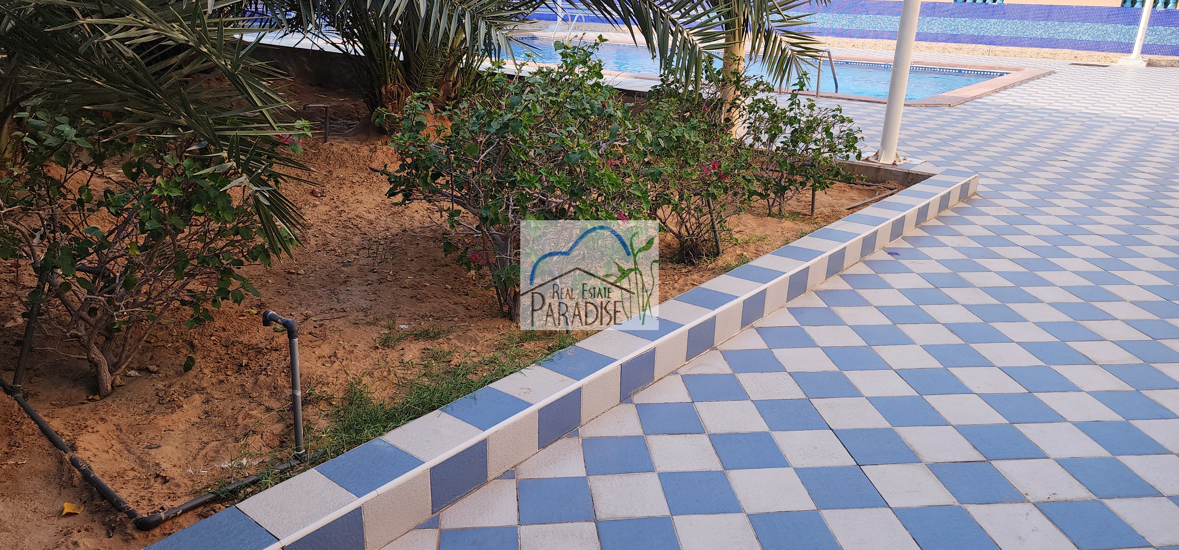 available 3br 1 master bedrooms/fitted kitchen/private back yard/ laundry room/covered car parking shared swimming pool/in compound for rent in mirdif