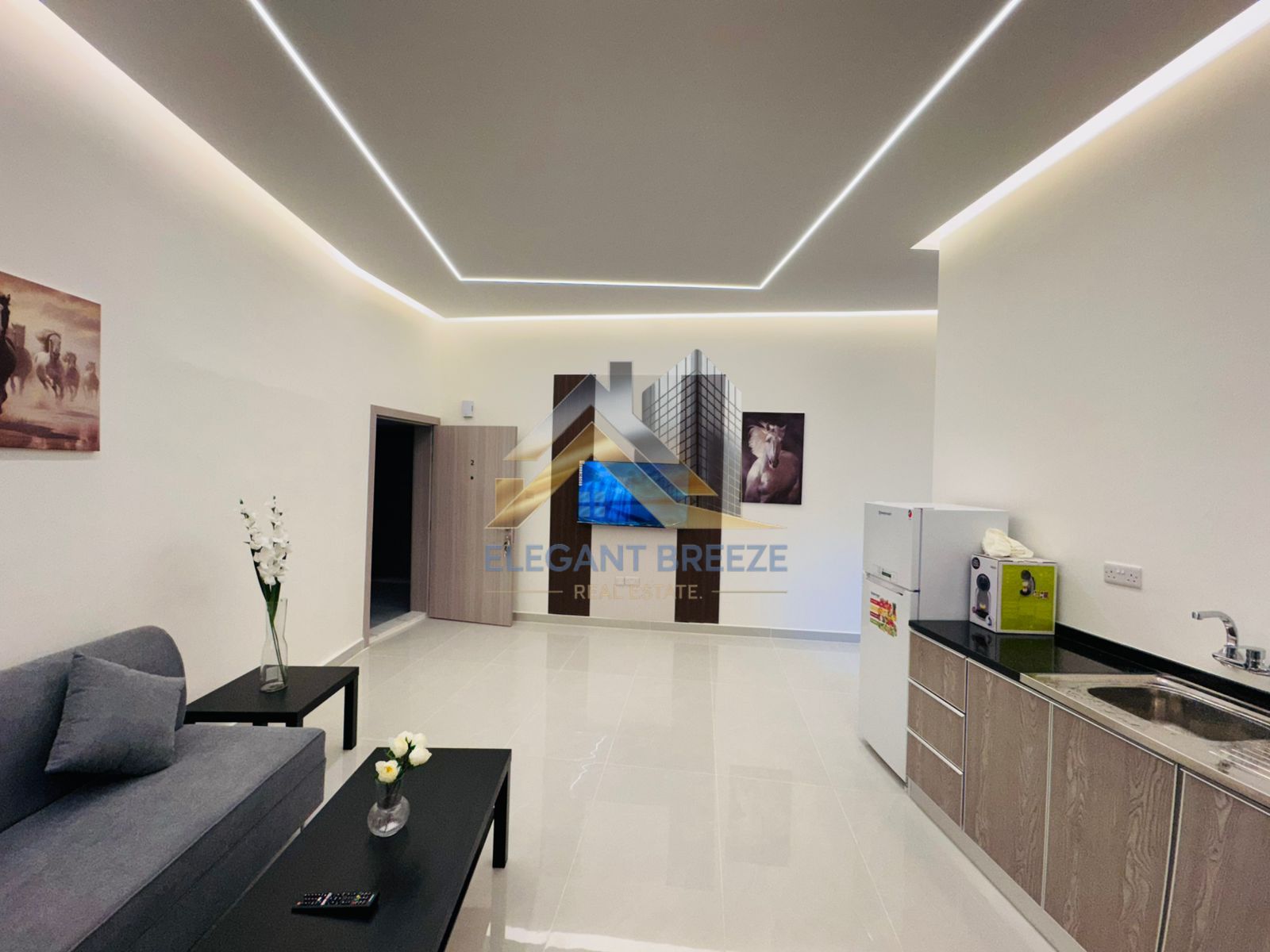 Brand New| Fully Furnished| Monthly Payments