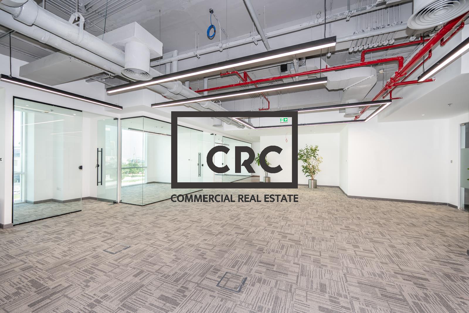 Upgraded | EBP 3 | DED License | For Lease