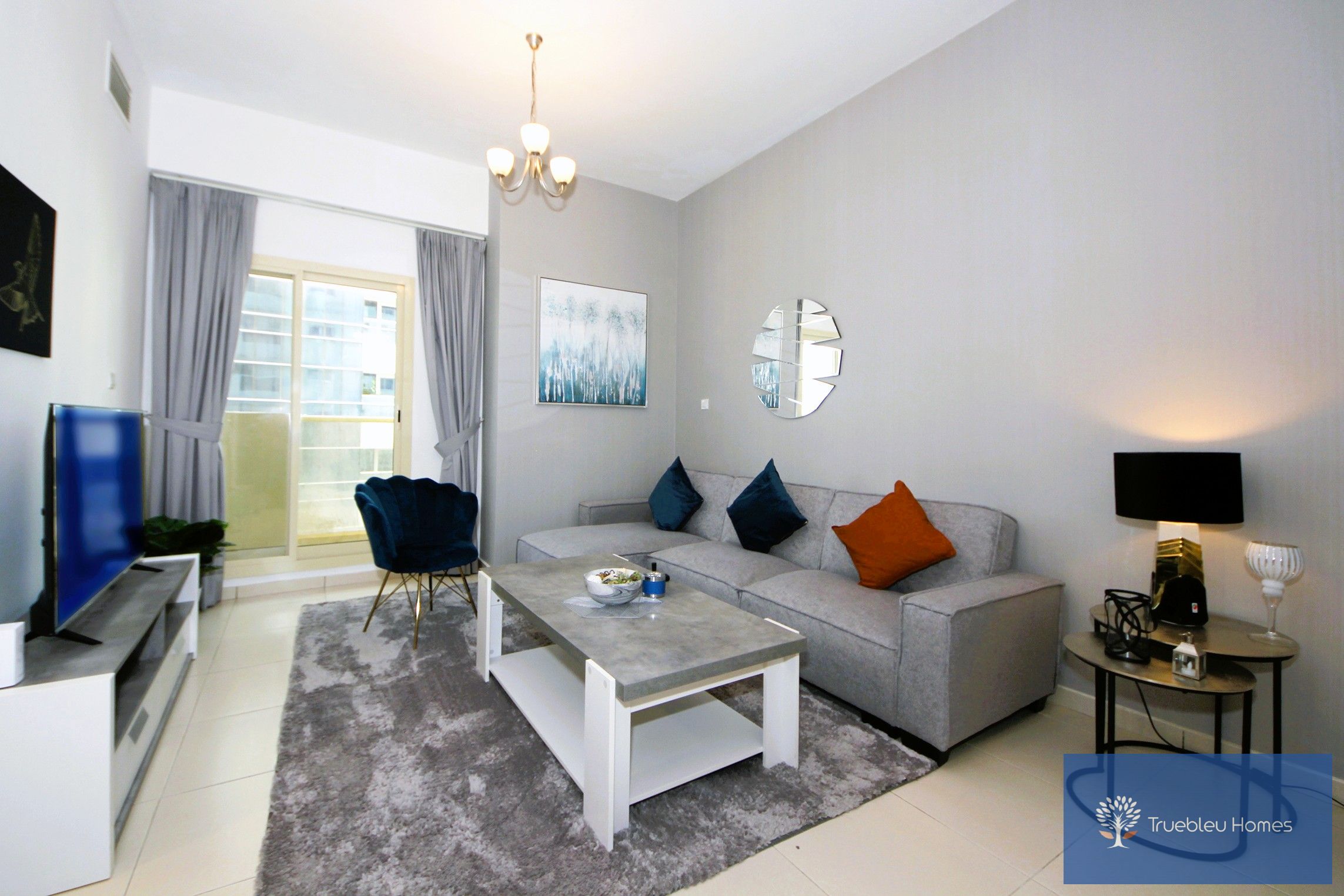 Elegantly Furnished and Spacious 1-Bedroom Apartment