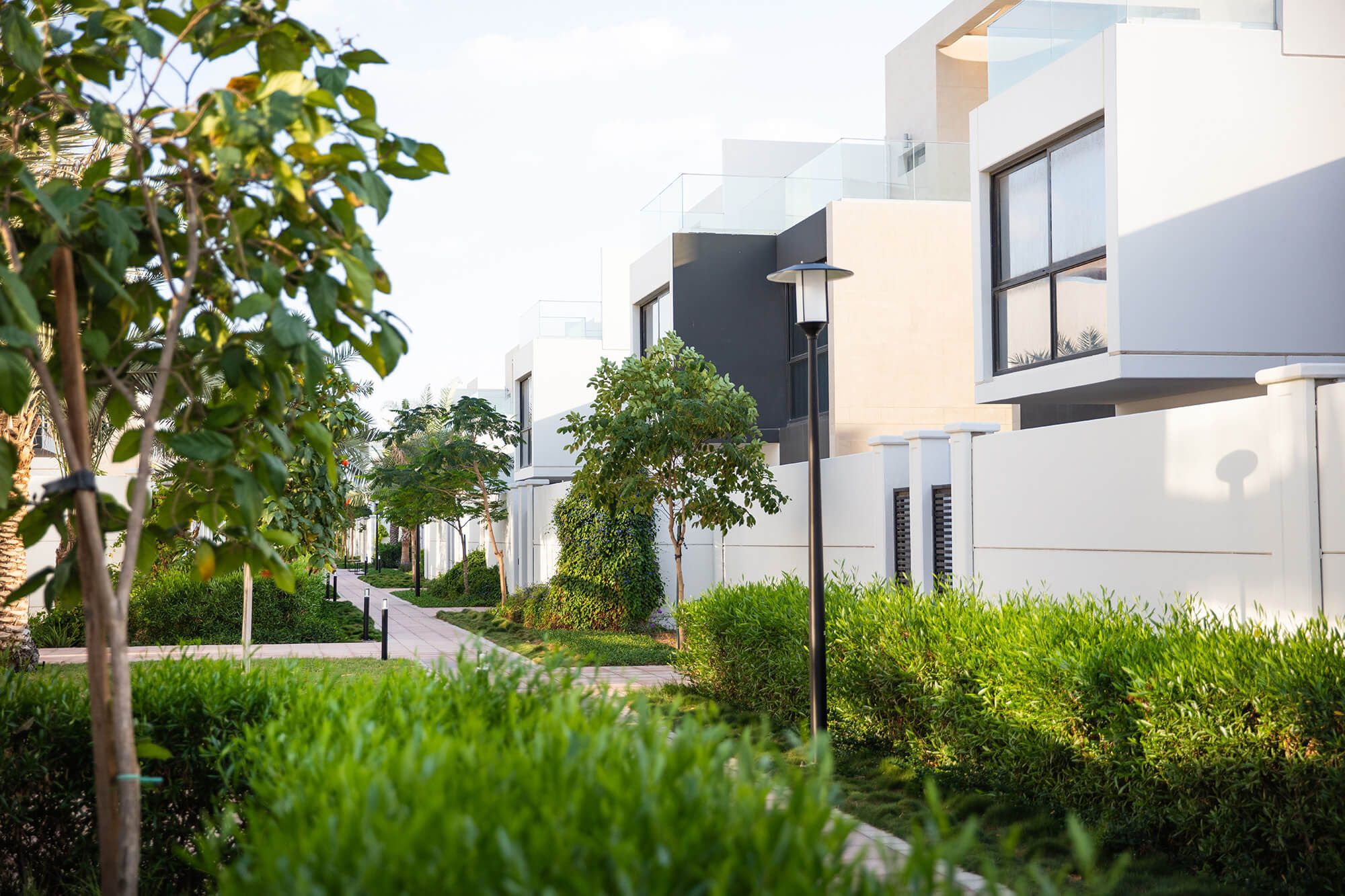 Lavish Living in Fayal Elegant and Spacious