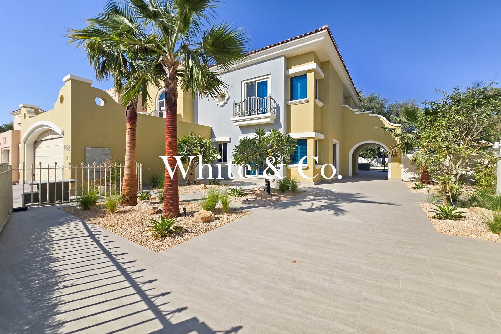 Exclusive | Upgraded C1 | Amazing Plot