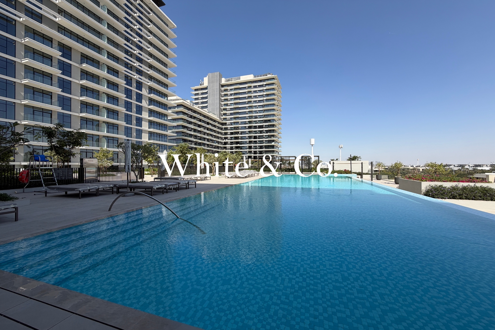 Brand New | Spacious Corner Unit | Vacant