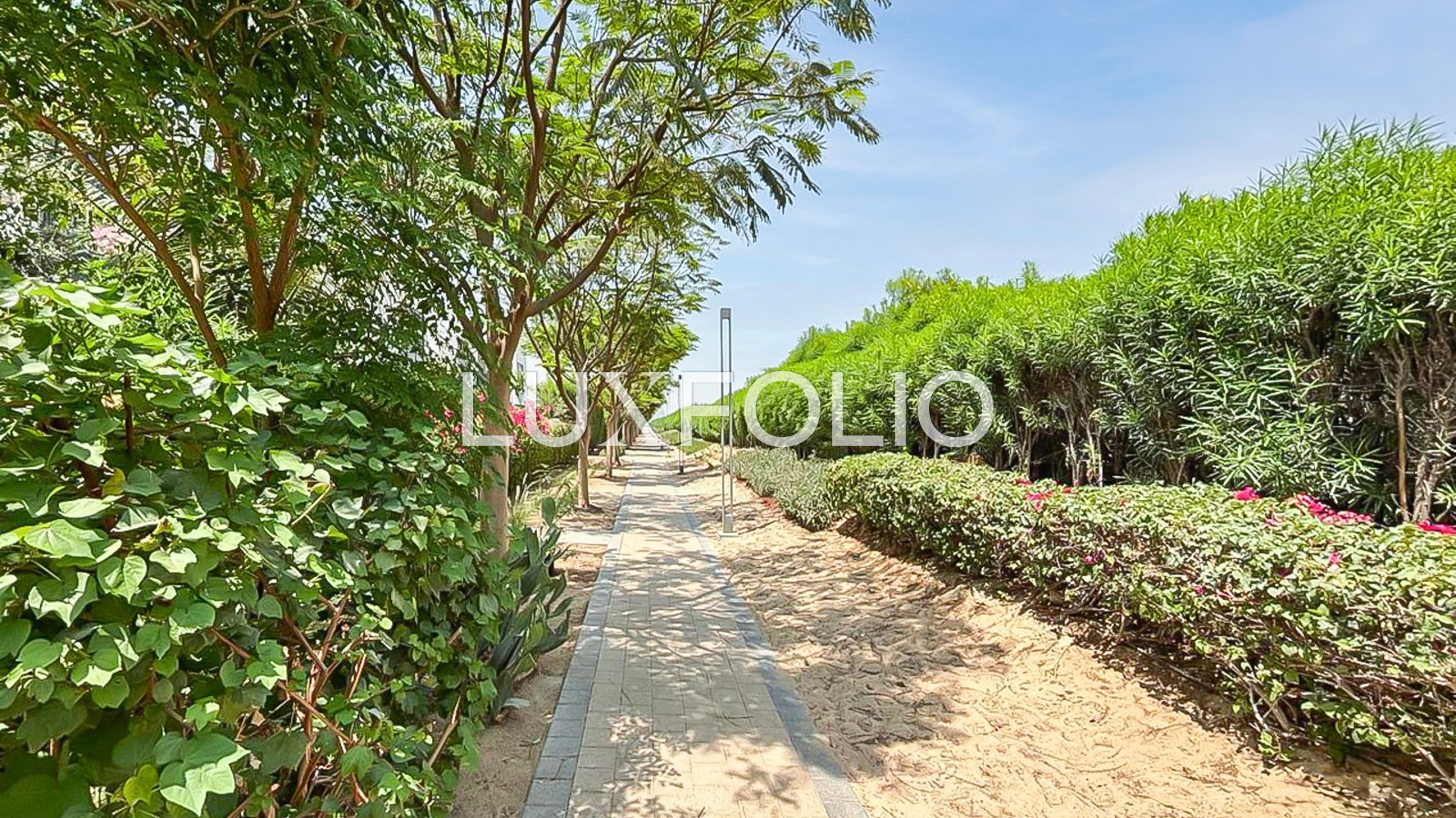 Camel Track | Unfurnished | Available Soon