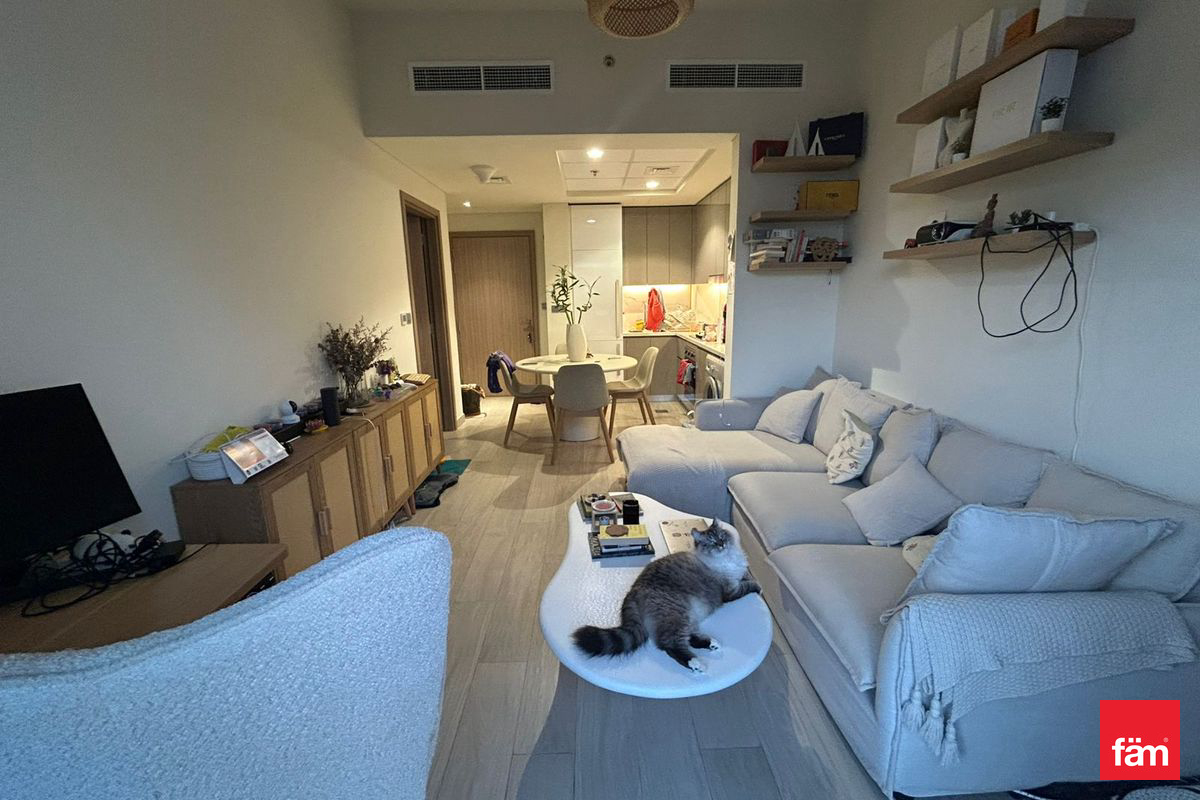 APARTMENT FOR RENT IN AZIZI RIVIERA 42