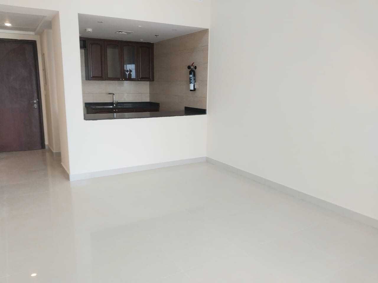 Spacious 1 bedroom apartment-sea view