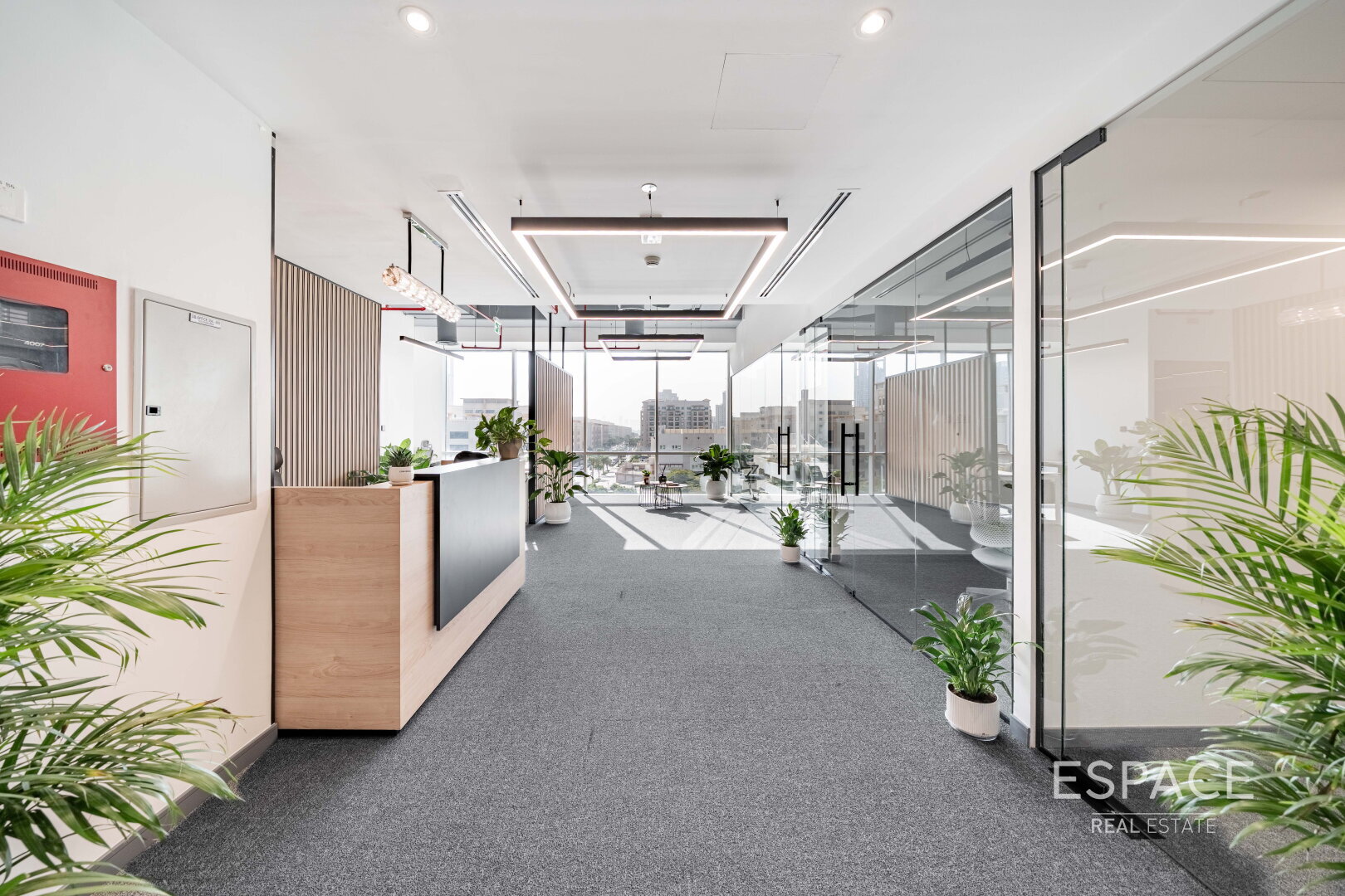 Fully Furnished | Brand New Fully Fitted | Brand New Lobby Renovation