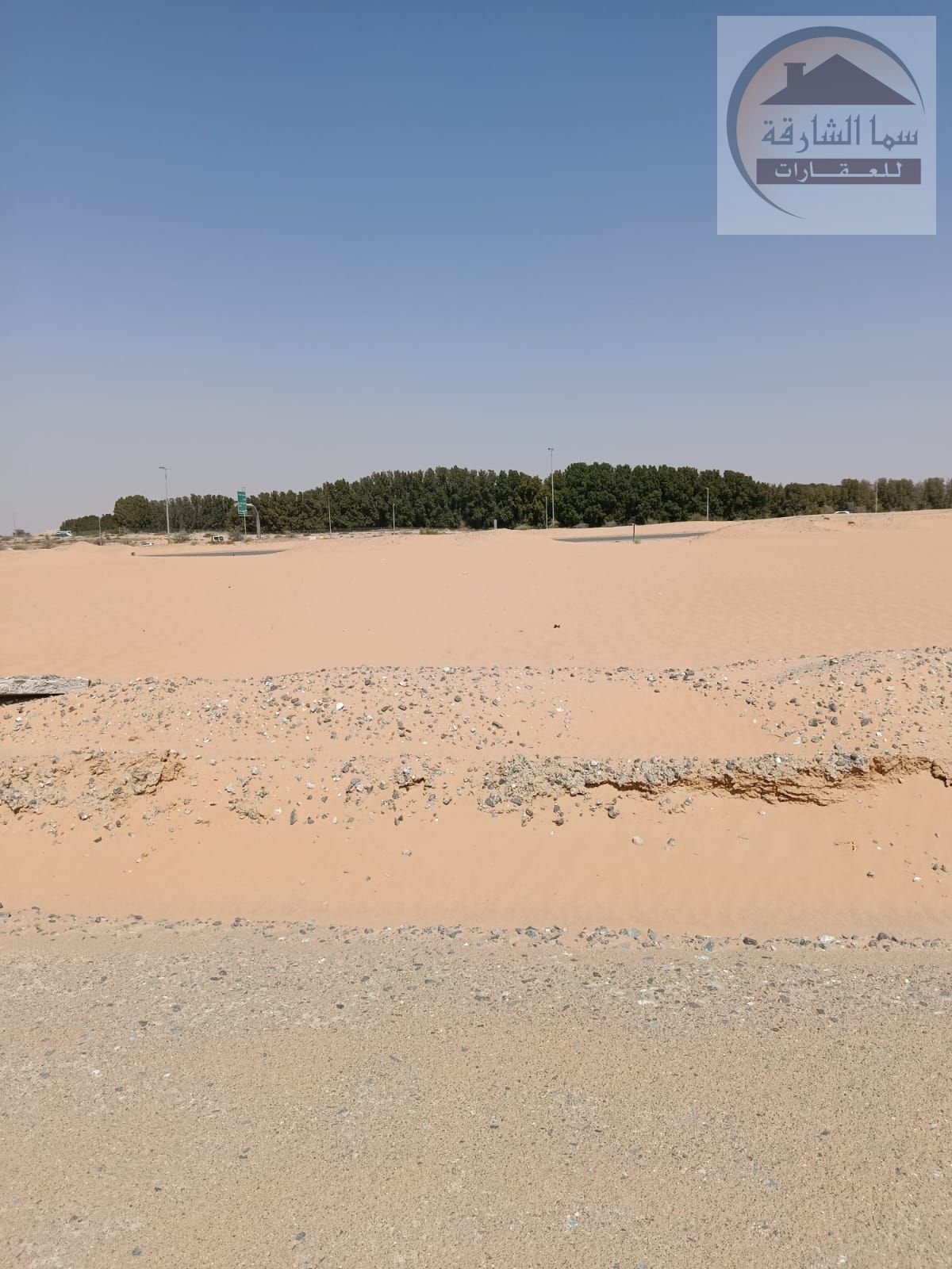 Land for sale in the Al-Sajya area, compensation eligible, prime location, area 7429 square feet