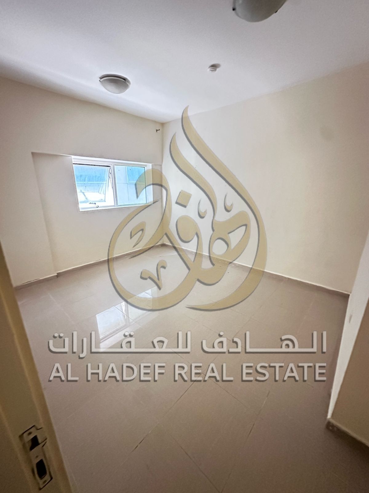 Advertisement in English (more than 300 characters)